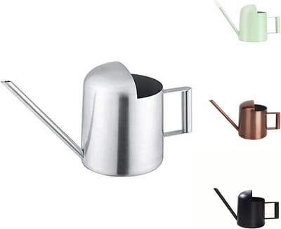 Mini gieter voor kamerplanten en vetplanten - 300 ml roestvrij staal met lange uitloop