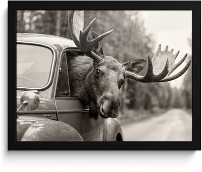 Poster in lijst - Fotolijst 40x30 cm - Posters - Eland - Auto - Gewei - Zwart - Wit - Posterlijst zwart - Decoratie - Wanddecoratie woonkamer - Muurdecoratie slaapkamer