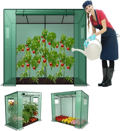ACXIN Gewächshaus Tomatenkas - Foliekas met 2 Ventilatievensters - Stabiele UV-bestendige Wintervaste Tomaten Tunnel Kas - Voor Tuin, Terras, Achtertuin en Balkon - 200x80x150 cm