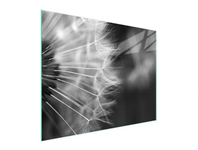 TMK ArtDeko - Snijplank - Glas - 52x40 cm - Kleurrijk