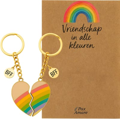 BFF Sleutelhanger voor 2 'Vriendschap in alle kleuren' - Magnetisch Regenboog Hartje - Sleutelhanger set op Cadeau Kaartje - Goudkleurig - Vriendschap Symbool - Pax Amare