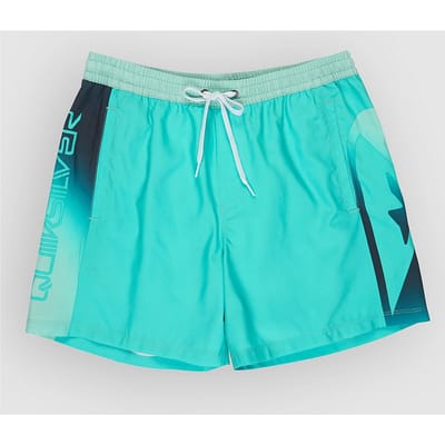 Quiksilver Everyday Holmes Volley 16´´ Zwembroek Blauw XL Man