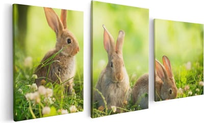 Artaza Canvas Schilderij Drieluik Drie Konijnen Op Het Gras Bij Zonneschijn - 120x60 - Foto Op Canvas - Canvas Print