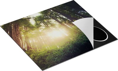 Chefcare Inductie Beschermer Bos met Zon tussen de Hoge Bomen - 60x50 cm - Afdekplaat Inductie - Kookplaat Beschermer - Inductie Mat