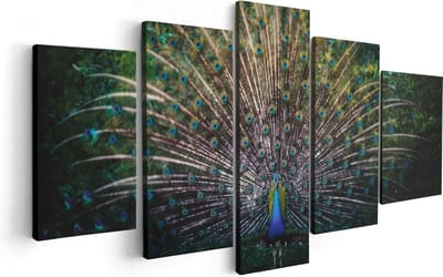 Artaza Canvas Schilderij Vijfluik Pauw Met Kleurrijke Veren - Kleur - 100x50 - Foto Op Canvas - Canvas Print
