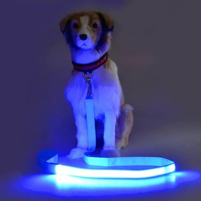 CHPN - Lichtgevende hondenriem - Lichtgevende halsband - Oplaadbare halsband verlichting - Blauw - 120CM - Lichtgevende riem voor de hond