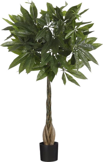 Pachira Kunstplant - H80 x Ø60 cm - Groen