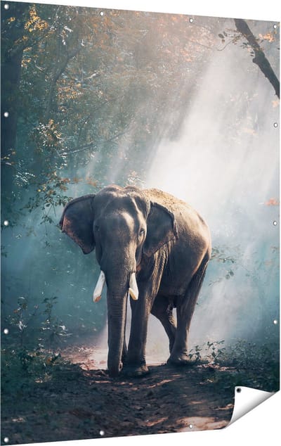 Gards Tuinposter Olifant in het Bos met Zonneschijn - 120x160 cm - Tuindoek - Tuindecoratie - Wanddecoratie buiten - Tuinschilderij