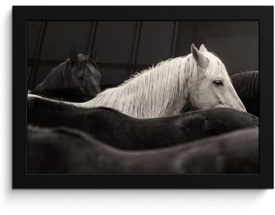 Poster in lijst - Fotolijst 30x20 cm - Posters - Paarden - Zwart - Wit - Kudde - Posterlijst zwart - Decoratie - Wanddecoratie woonkamer - Muurdecoratie slaapkamer