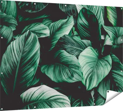 Gards Tuinposter Tropische Groene Bladeren - 160x120 cm - Tuindoek - Tuindecoratie - Wanddecoratie buiten - Tuinschilderij
