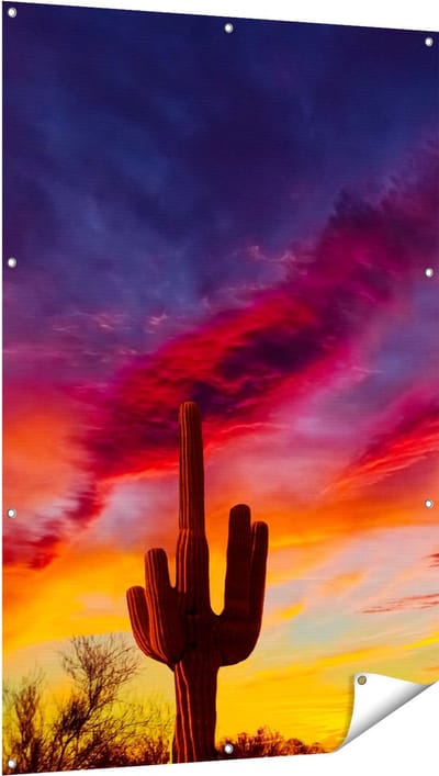 Gards Tuinposter Cactus bij Oranje Zonsondergang - 100x150 cm - Tuindoek - Tuindecoratie - Wanddecoratie buiten - Tuinschilderij
