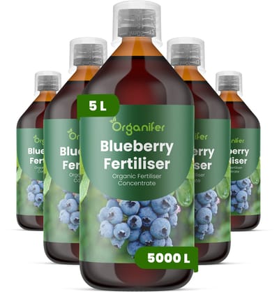 Vloeibare Meststof Voor Blauwe Bessen 5X1 L Voor 5000 L - Npk 2-1-8 - Sterke Scheuten - Grotere Bessen - Diepe Blauwe Kleur - Zure Bodem - Sterk Wortelstelsel - Vruchtzetting - Stressbestendig - Hoge Opbrengst - Organifer