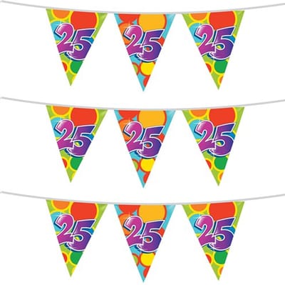 Haza Vlaggenlijn 25 jaar - 3x stuks - 10 meter - plastic - 25e verjaardag of jubileum versiering