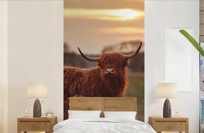 Behang - Fotobehang Schotse hooglander - Dieren - Landschap - Zonsondergang - Koe - Breedte 120 cm x hoogte 240 cm