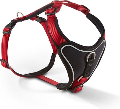 Wolters hondentuig gepolsterd Professional Comfort, maat -1: 27-32cm x 15mm rood/zwart