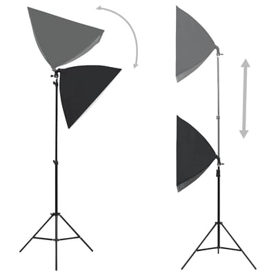 vidaXL - Professionele - studiolampen - 2 - st - 40x60 - cm - staal - zwart