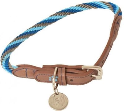 lief! Halsband Hond - Boys - 50 x 1 cm
