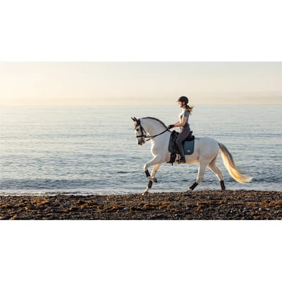 Dressuurmat voor paarden LeMieux Earth