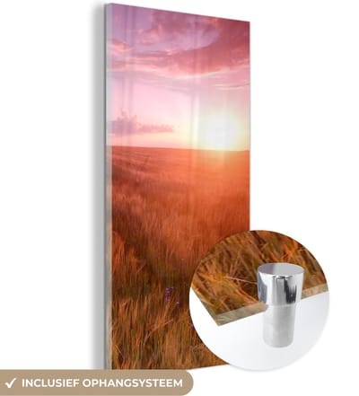 MuchoWow® Glasschilderij 20x40 cm - Schilderij acrylglas - Grasveld - Zon - Avond - Landschap - Foto op glas - Schilderijen