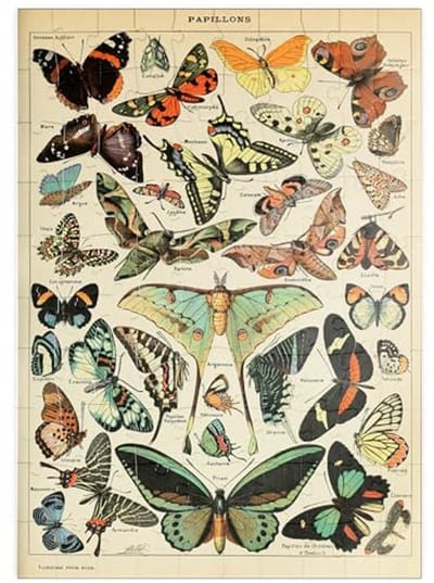 Puzzel van 100 Stukjes - Vintage Vlinders Poster - Kleurrijke Papillons Ideeën voor Puzzelplezier