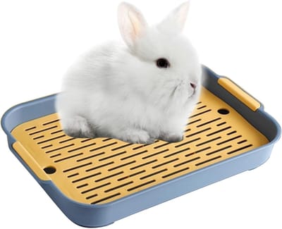 Toiletbak en Potjestrainer voor Kleine Dieren zoals Konijnen en Cavia's