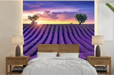 Behang - Fotobehang Lavendel - Heuvels - Zonsondergang - Bpmen - Paars - Breedte 280 cm x hoogte 280 cm