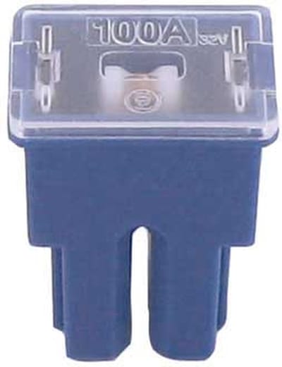 FLF-S pal zekering 100 amp 1 stuk