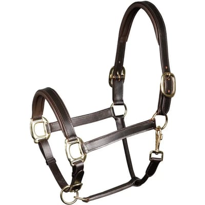 Gewatteerd lederen halster voor paarden Harry's Horse
