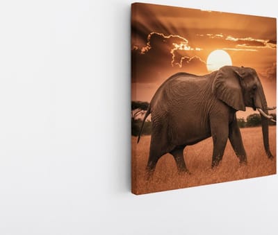 Saammp Canvas Schilderij - olifant in de Zonsondergang - Afrika - Dieren - 20x20 - Foto op canvas - Wanddecoratie - muurdecoratie Woonkamer - Slaapkamer decoratie - Canvas Print