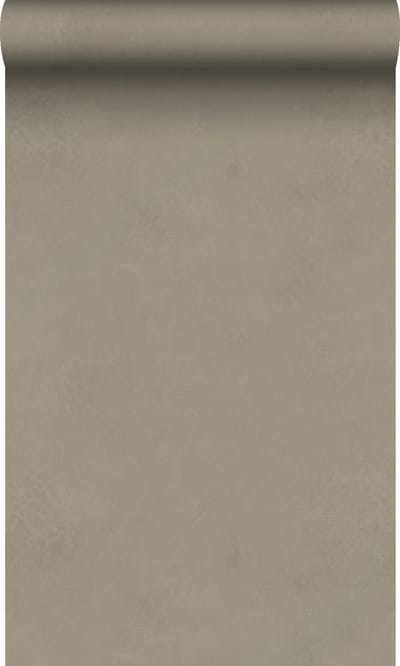 Origin Wallcoverings behang leemstuc taupe - 50 x 900 cm - 348067