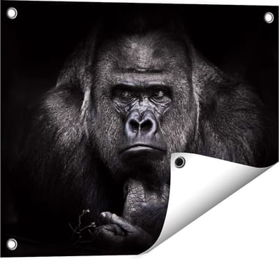 Gards Tuinposter Gorilla - Zwart Wit - 50x40 cm - Tuindoek - Tuindecoratie - Wanddecoratie buiten - Tuinschilderij