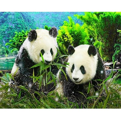Diamant borduurwerk mozaïek  Panda's eten bamboe kristal 5D kruissteek diamant schilderij 20X30CM blue