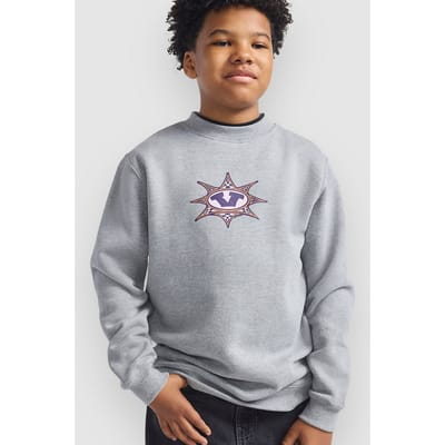 Vans Star Checker Crew Kids Sweater grijs
