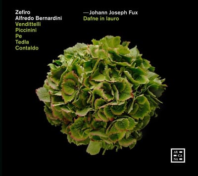 Zefiro, Alfredo Bernardini - Fux: Dafne In Lauro (2 CD)