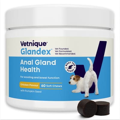 60 kauwsnacks Glandex Anal Gland Support aanvullend voer voor honden