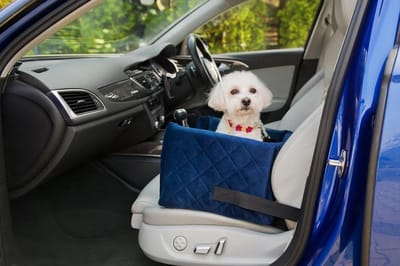 Molly Memory autostoel- klein formaat voor honden en katten - gemaakt in Europa - hoogwaardig fluweel - orthopedisch matras - reisbed voor huisdieren - blauw - maat M hondenmand auto