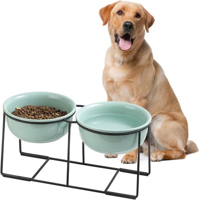 Dubbele Verhoogde Hondenvoer- en Waterbak met Antislip Houder voor Middelgrote en Grote Honden, 2 x 1600 ml, Ideaal voor Comfortabel Eten en Drinken