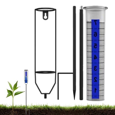 Regenmeter Buiten - Regenmeter Tuin - Weer Meten - Stijlvol Ornament - 27 cm - Transparant