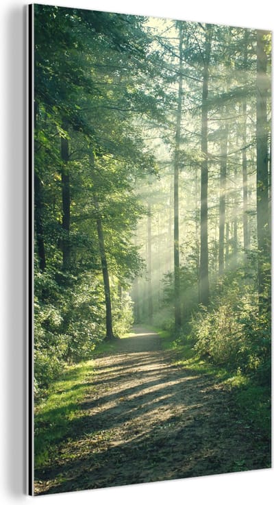 Aluminium schilderij 120x180 cm - Wanddecoratie metaal - Bos - Pad - Zon - Bomen - Groen - Natuur - Metalen muurdecoratie woonkamer - Decoratie industrieel - Foto op dibond - Industriële accessoires slaapkamer