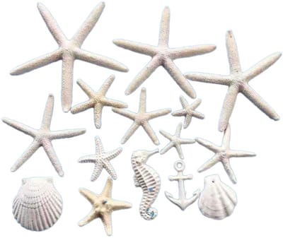 Dailygoods- Aquariumdecoratie 15 Stuks - Zeesterren/Schelpen/Zeesperen/Zeepaardje - Harsmateriaal - Wit - Decoraties voor Aquarium/Tuin - Aquariumornament