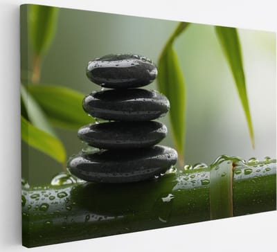 Saammp Canvas Schilderij - Stenen op Bamboe - Landschap - Natuur - 30x20 - Foto op canvas - Wanddecoratie - Muurdecoratie Woonkamer - Slaapkamer decoratie - Canvas Print
