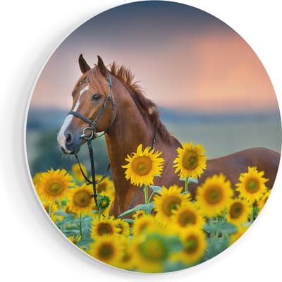 Artaza Forex Muurcirkel Bruin Paard Tussen De Zonnebloemen - 80x80 cm - Groot - Wandcirkel - Rond Schilderij - Wanddecoratie Cirkel