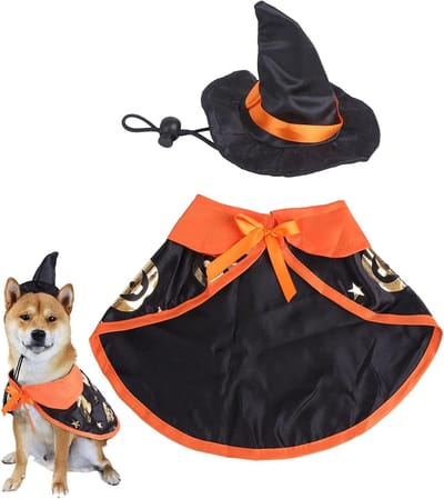 Halloween Kostuum voor Honden en Katten met Pompoenpatroon en Heksenhoed - Dierencape voor Feestdagen (Klein)