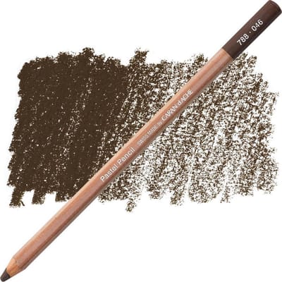 Caran D'ache Pastel Potlood - Cassel Earth (046)