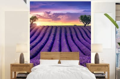 Behang - Fotobehang Lavendel - Heuvels - Zonsondergang - Bpmen - Paars - Breedte 165 cm x hoogte 220 cm