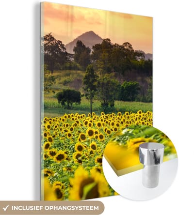 MuchoWow® Glasschilderij 30x40 cm - Schilderij acrylglas - Zonnebloem - Natuur - Berg - Foto op glas - Schilderijen