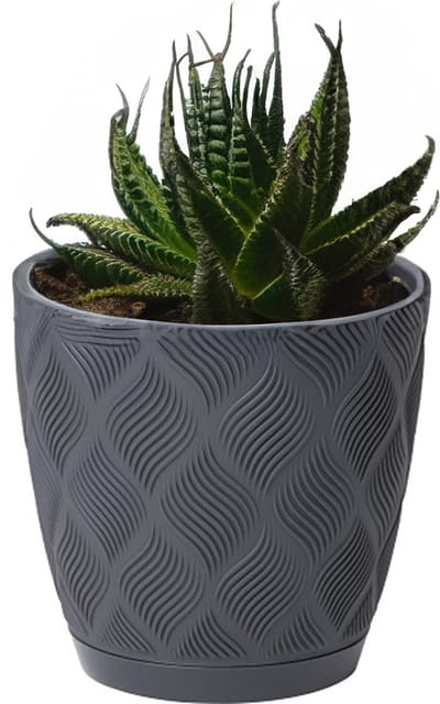 Form Plastic Plantenpot/bloempot New Age - kunststof - antraciet - D23 x H21 cm - met opvang schotel - rond