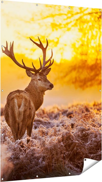 Gards Tuinposter Hert in Bos tijdens de Zonsopkomst - 120x180 cm - Tuindoek - Tuindecoratie - Wanddecoratie buiten - Tuinschilderij