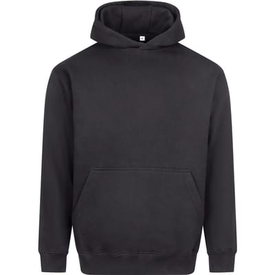 Dikke Hoodie Just Hoods Vision