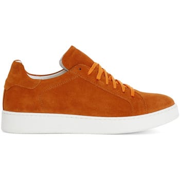 Lage Sneakers Café Noir C1XN6021